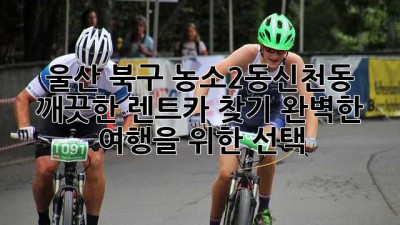 울산 북구 농소2동/신천동 깨끗한 렌트카 찾기: 완벽한 여행을 위한 선택